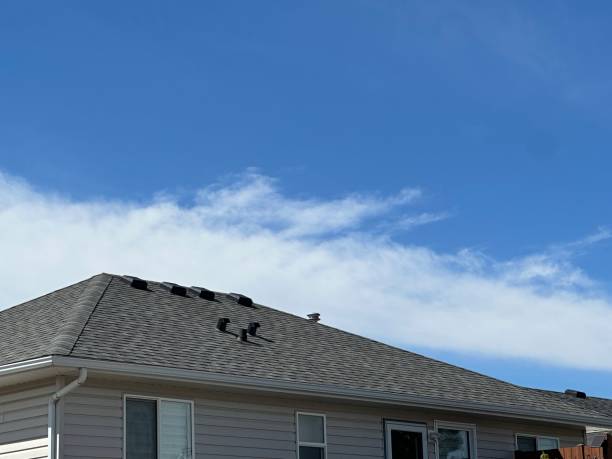 Best Metal Roofing Installation  in Lorton, VA